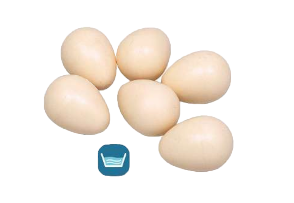 Zolux Bird Imitation hen's egg