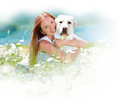 Odoo image and text block