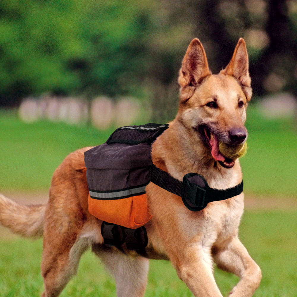 Ferplast Dog Scout backpack