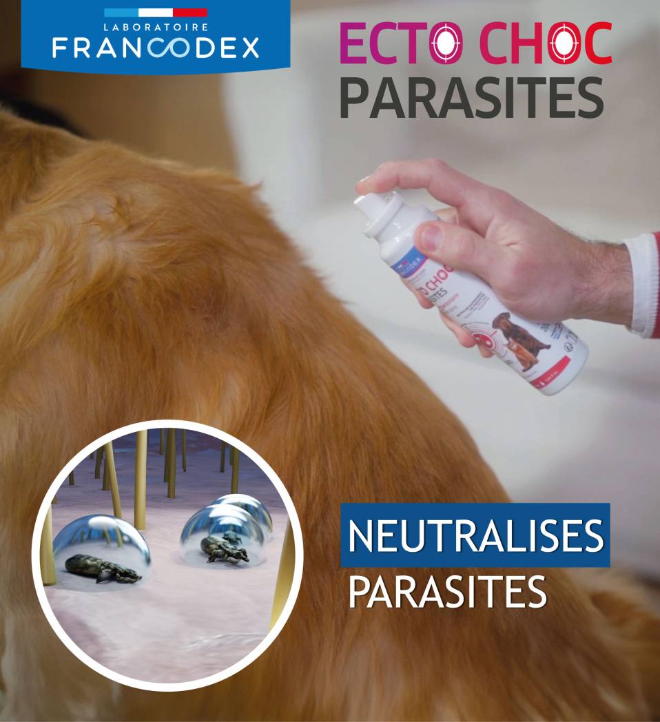 Francodex Dimethicone spray 200ml + aloe vera (kopio)