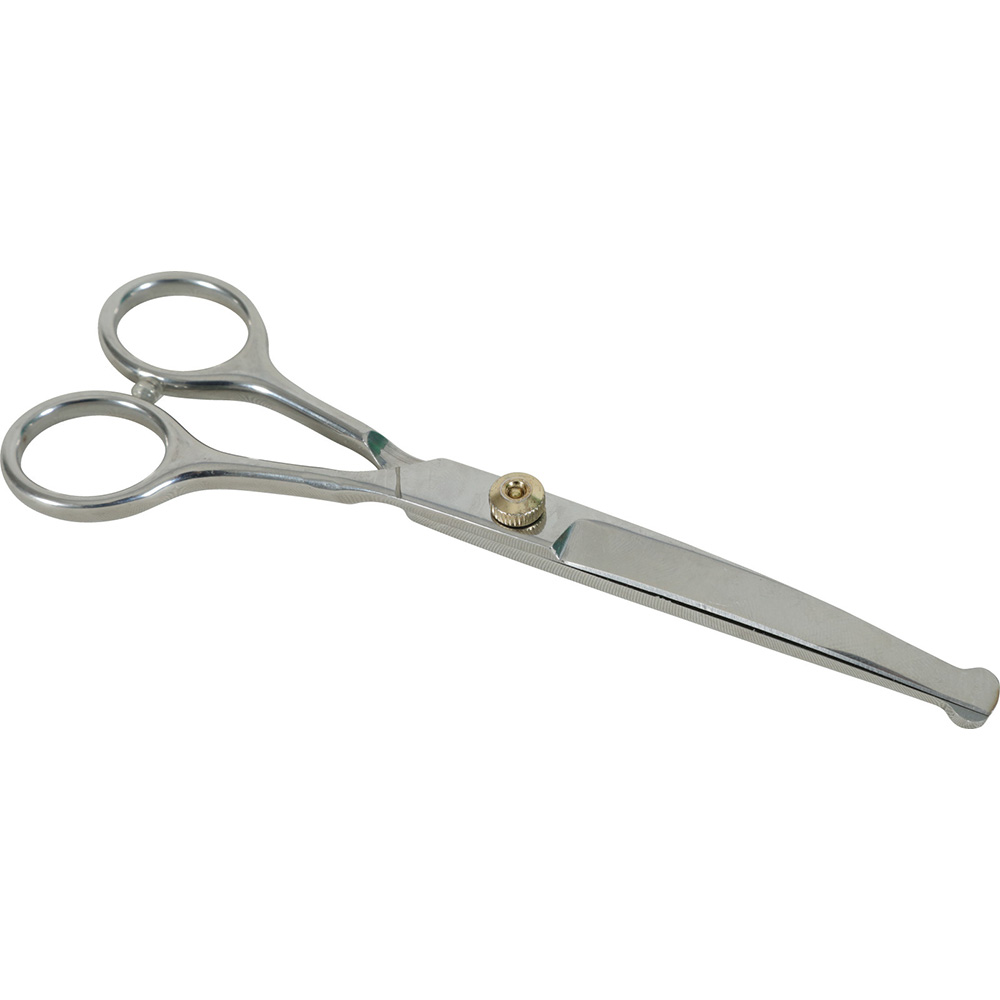 Zolux Dog Salon sakset curved pyöristetty pää