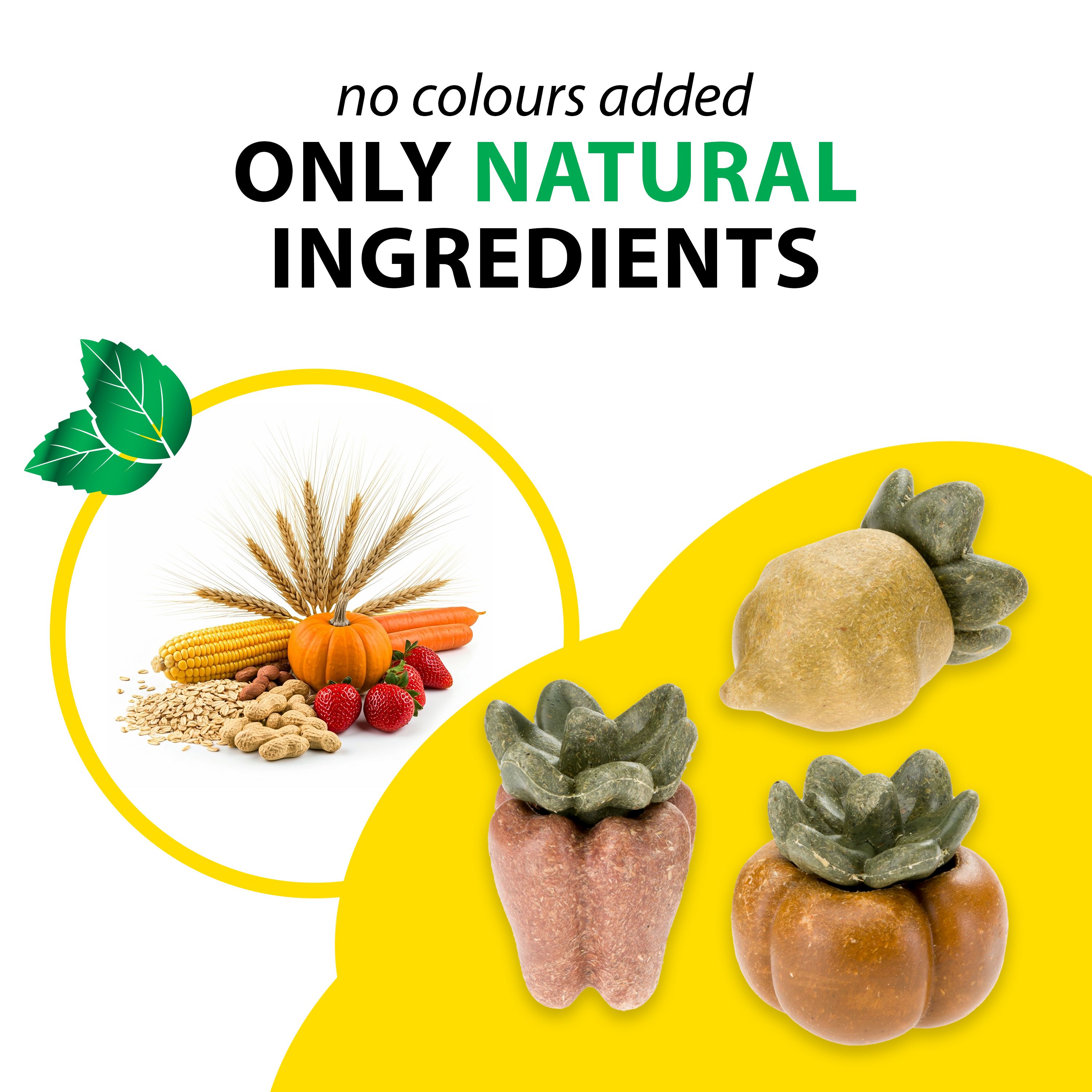 Ennakkotilaus Ferplast Veggie bites veg