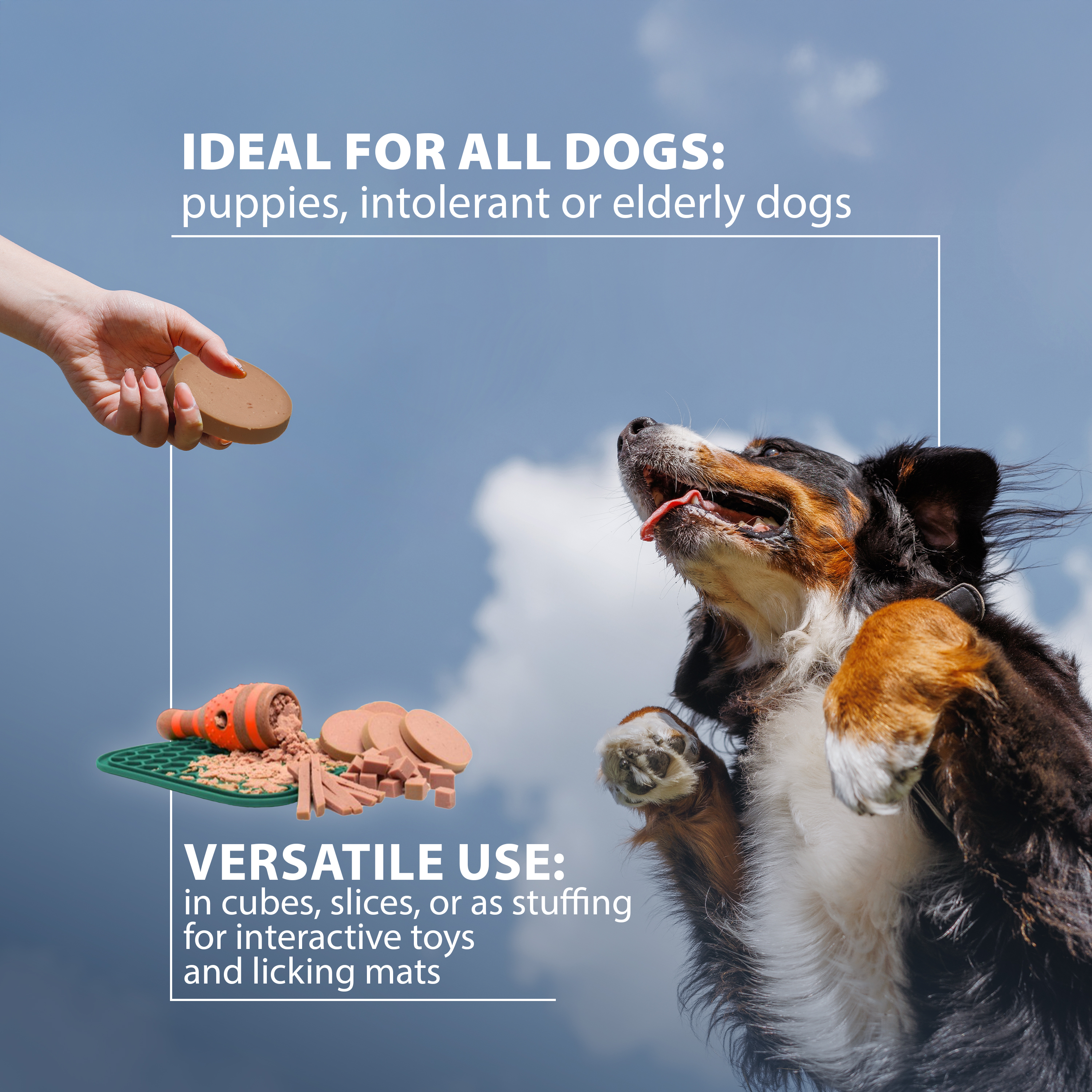 Ferplast treenimakkara LAMB 200g