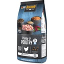 Belcando Puppy GF Poultry 1kg