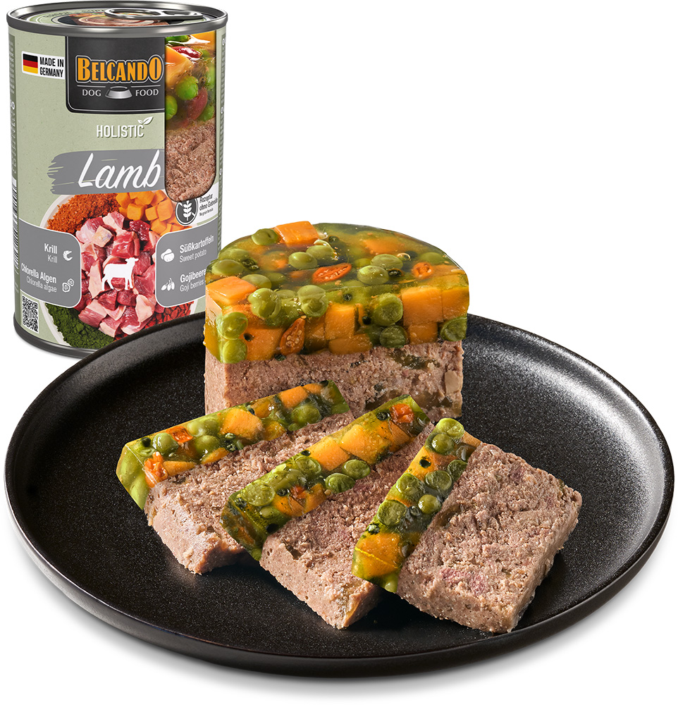 Belcando Holistic LAMB 6x400g säilyke