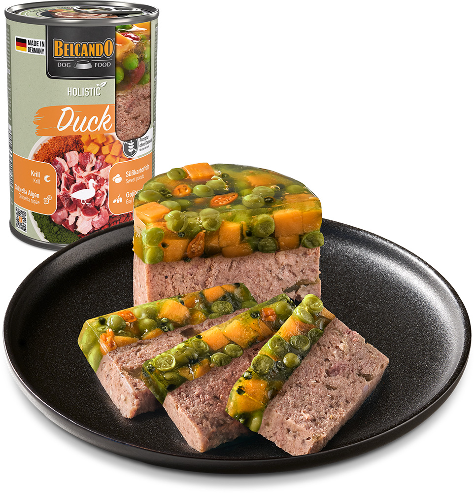 Belcando Holistic DUCK 6x400g säilyke