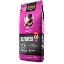 Baseline Explorer GF 12,5kg