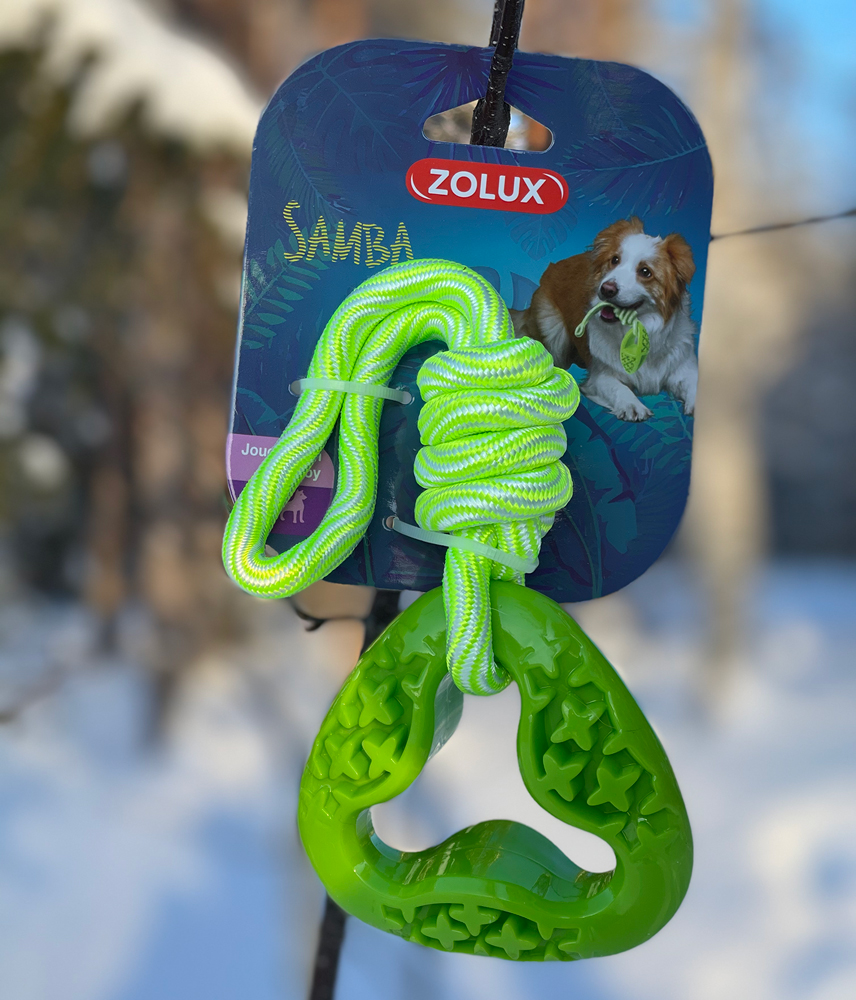 Zolux Dog Samba triangle 26cm,green