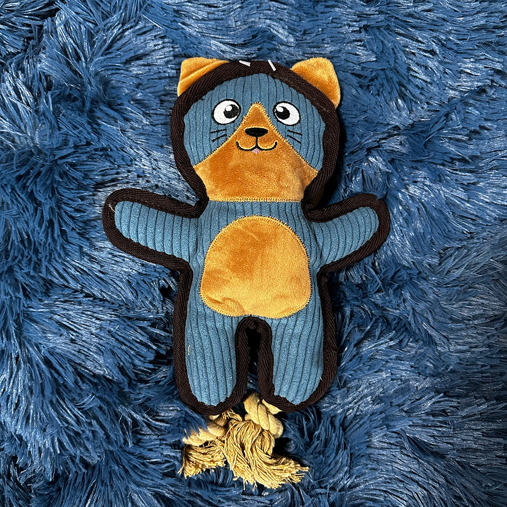 Zolux Buddy kissa
