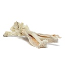 Ferplast Rabbit Ears 3pcs
