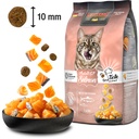 Leonardo Adult GF SALMON 300g