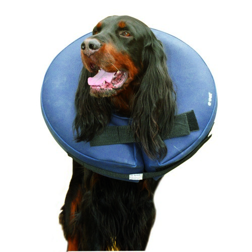 e-power air collar