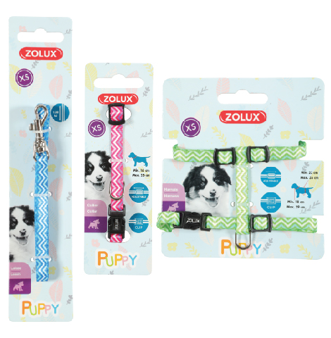Zolux Puppy XS Pixie hihna 8mm