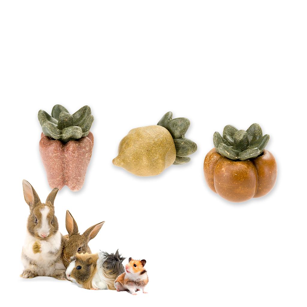 Ennakkotilaus Ferplast Veggie bites veg
