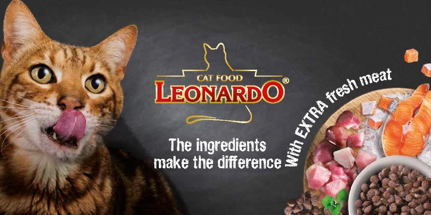 Leonardo esite Fresh Meat