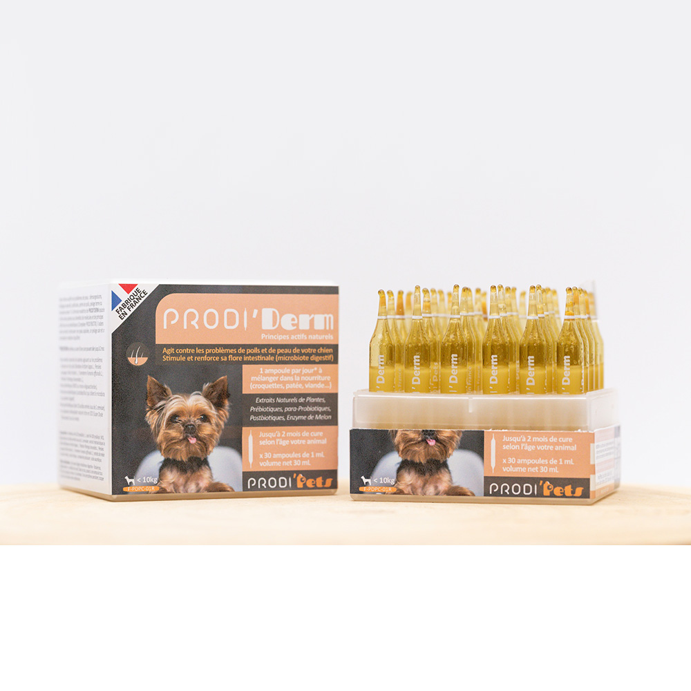 Prodi'Derm small Dog