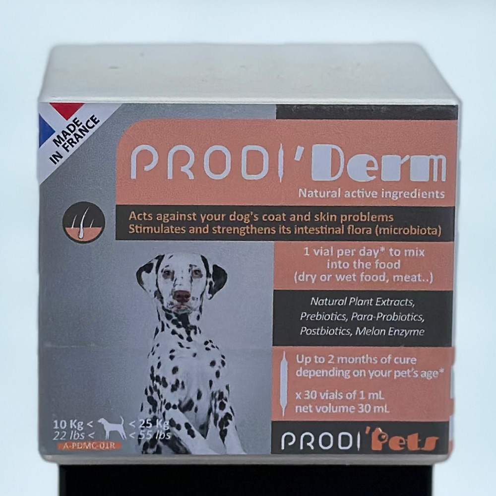 Prodi'Derm medium Dog
