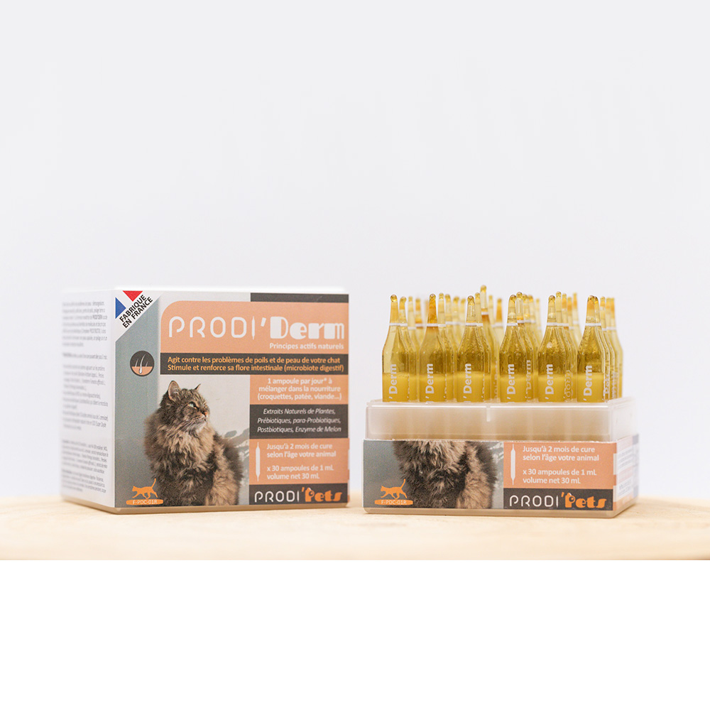 Prodi'Derm Cat