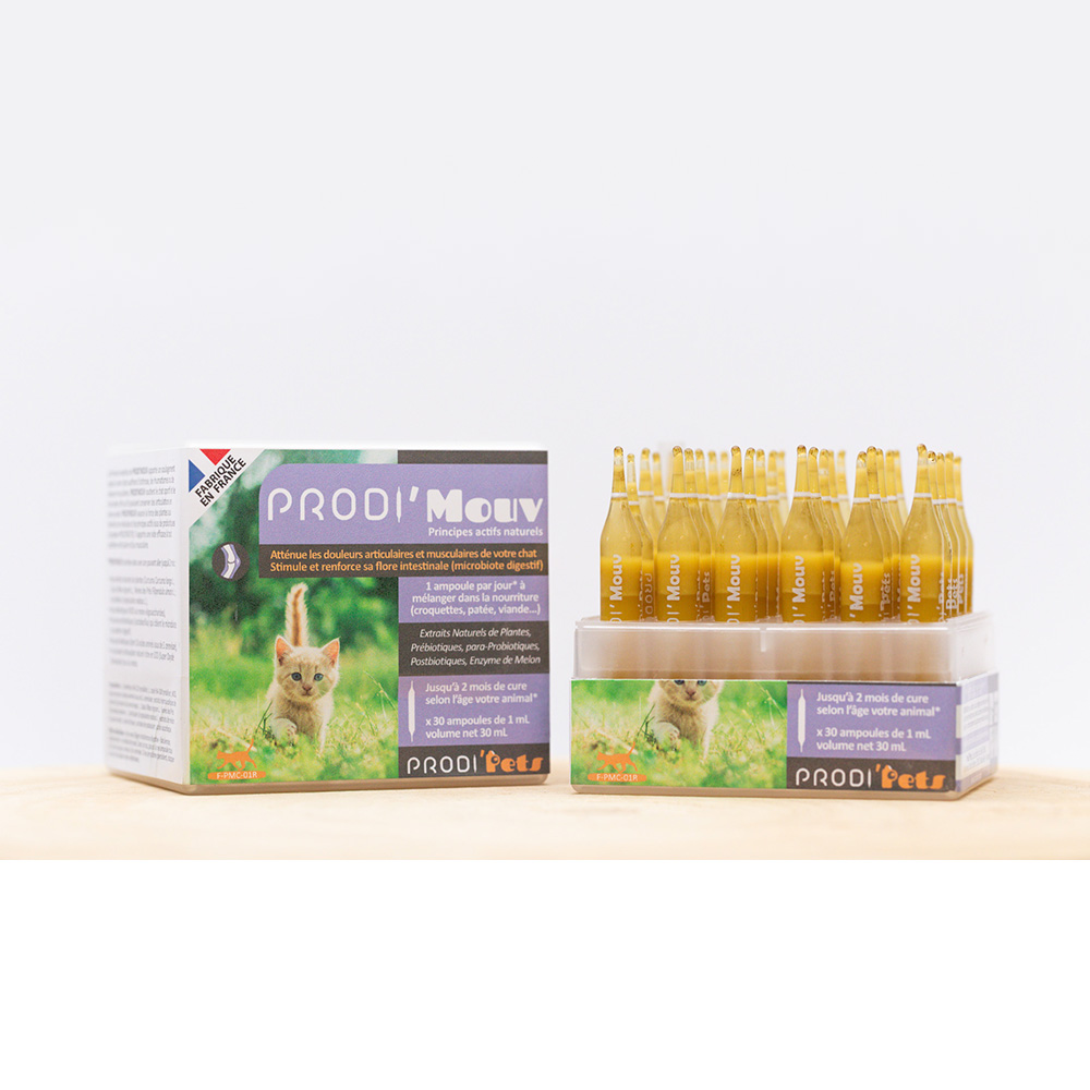 Prodi'Mouv Cat