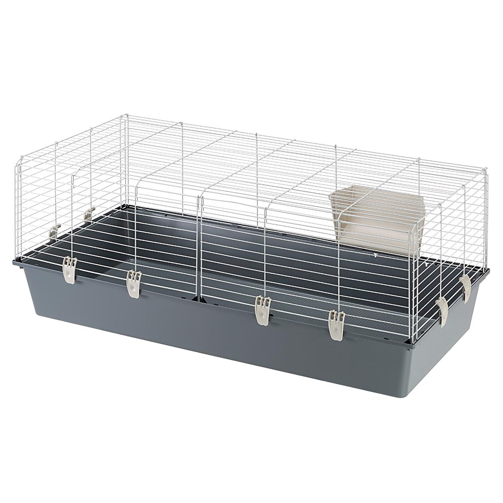 Ennakkotilaus Rabbit 120