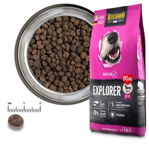 [560525] Baseline Explorer GF 12,5kg