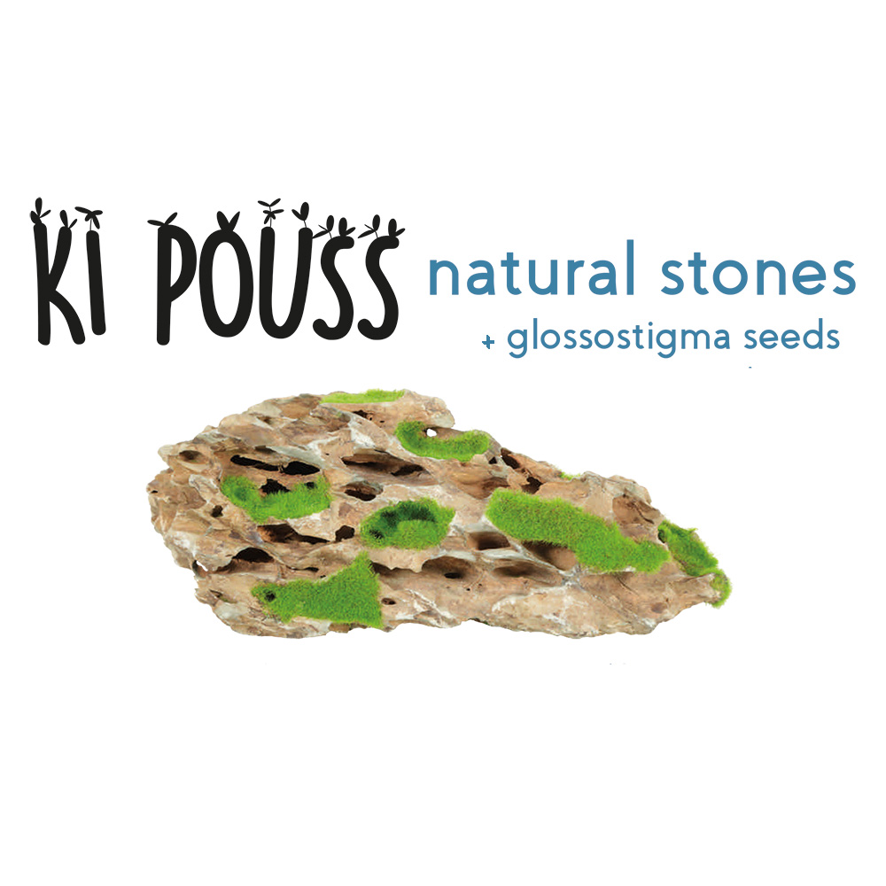 Zolux KiPouss yellow stone S