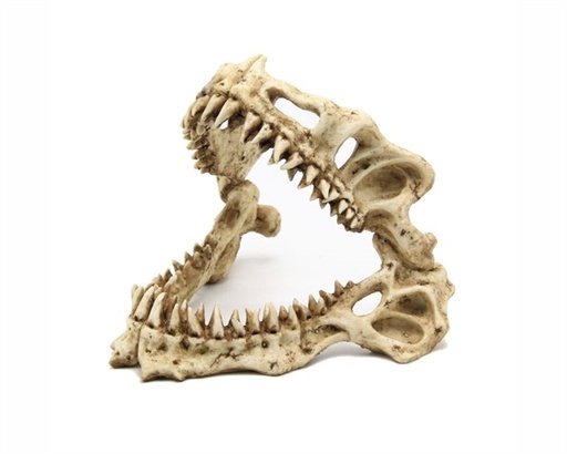 [0040630] BlueBelle Shark Skull 19*17*15cm