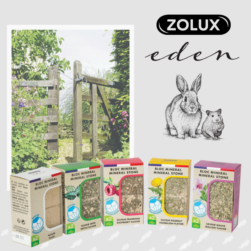 Zolux Eden mineraalikivi Dandelion 2*200g