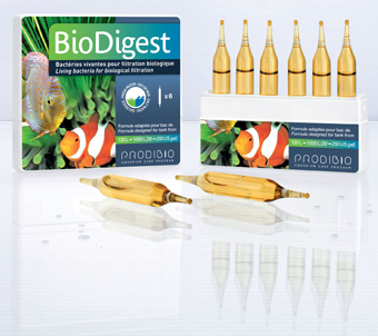 Prodibio BioDigest 30