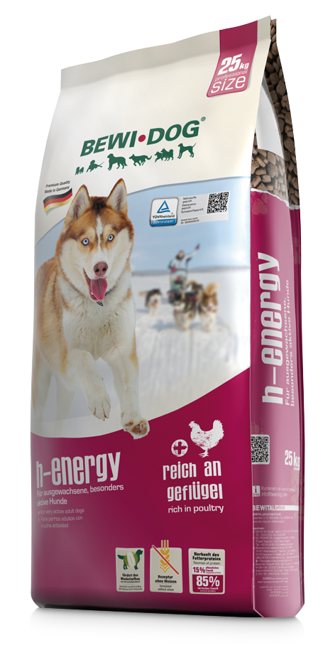 BewiDog H-Energy