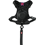 Zolux Easyride L