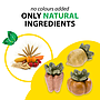 Ennakkotilaus Ferplast Veggie bites veg