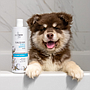 IOD Naturaluxury Tearless Puppy 500ml shampoo